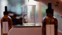 Home Perfumery Experience